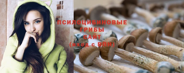 ГАЛЛЮЦИНОГЕННЫЕ ГРИБЫ Верея
