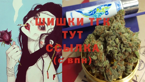 ГАЛЛЮЦИНОГЕННЫЕ ГРИБЫ Верея