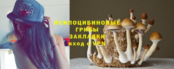 мескалин Верхний Тагил