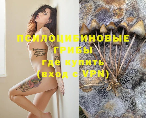 мескалин Верхний Тагил