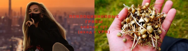 мескалин Верхний Тагил