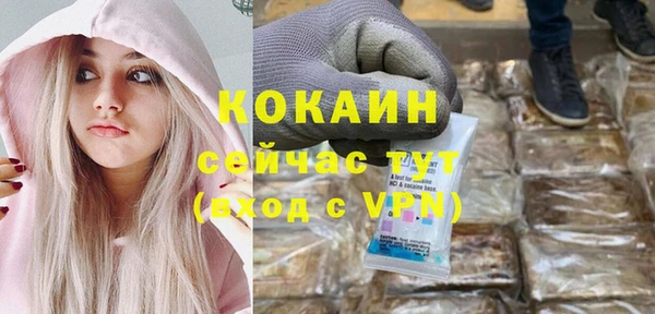 ГАЛЛЮЦИНОГЕННЫЕ ГРИБЫ Верея