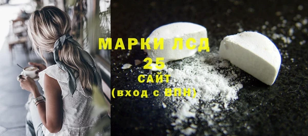 ГАЛЛЮЦИНОГЕННЫЕ ГРИБЫ Верея